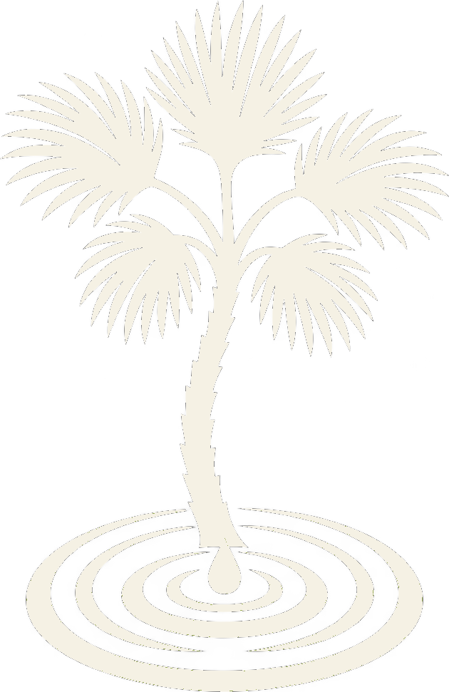 Ocala Water Restoration logo